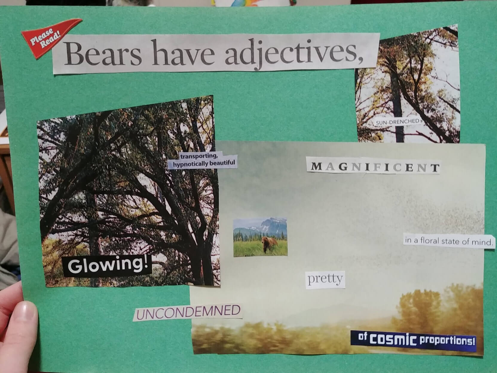 a collage on green construction paper with several large landscape photos, snippets of text scattered across the page, and a tiny photo of a brown bear in the center; full transcription below